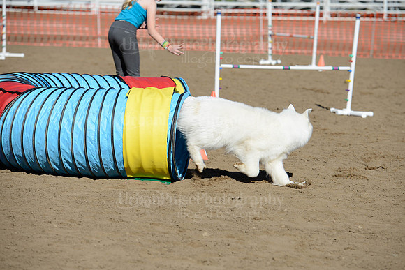 AGILITY-1945