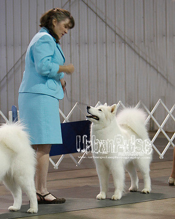 Fargo_2011-3760