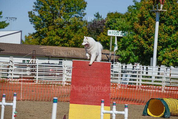 AGILITY-2305