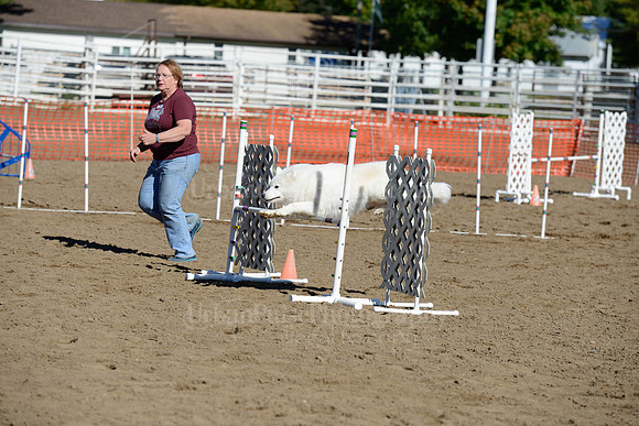 AGILITY-2006