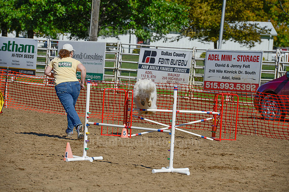 AGILITY-2366