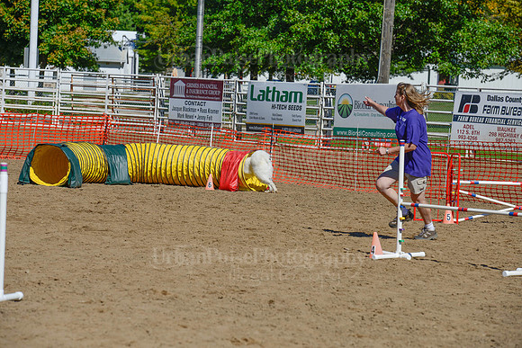 AGILITY-2294