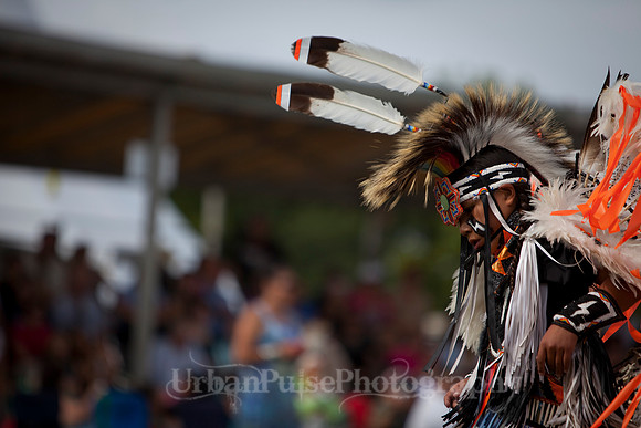 Wacipi_2011-2411