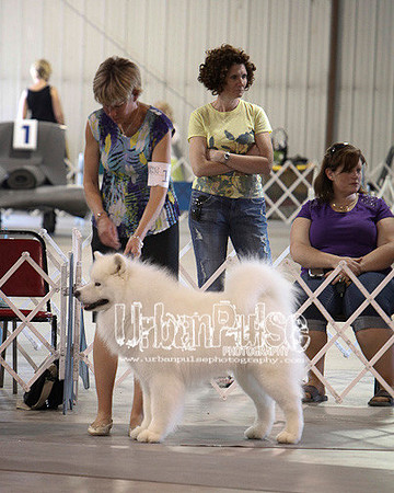 Fargo_2011-4602