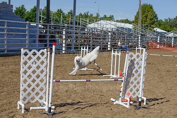 AGILITY-2332