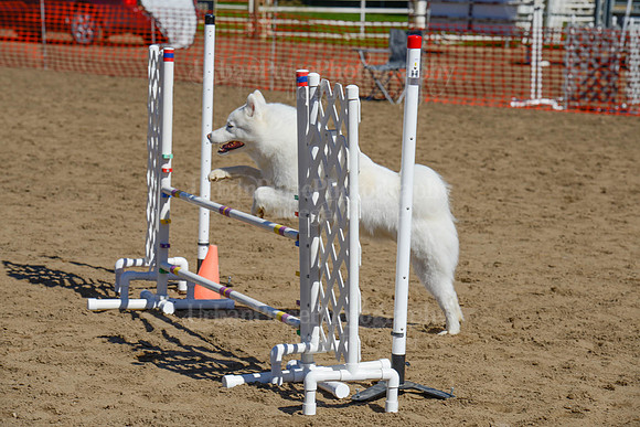 AGILITY-2289