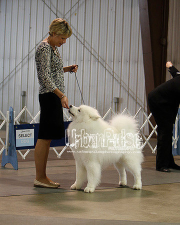 Fargo_2011-3795