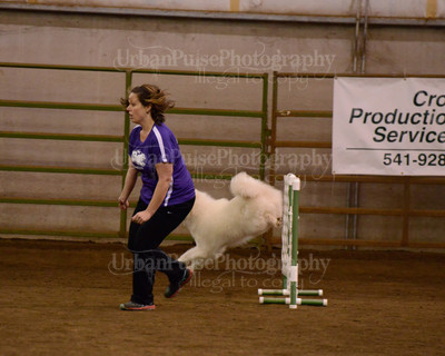 SCA2016_AG MON FAST NOVICE-3580