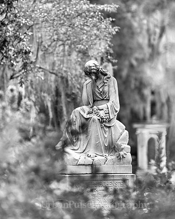 Savannah_9854