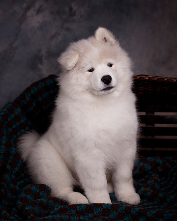 GreenBoy_10wks_16x20_0631