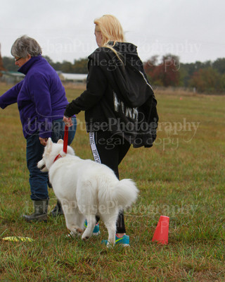 SCA2016_LURE COURSING-7641