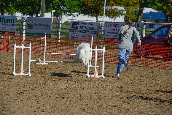 AGILITY-2158