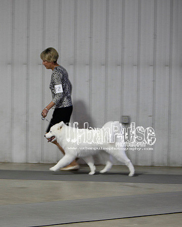 Fargo_2011-3609