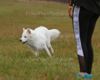 SCA2016_LURE COURSING-7730