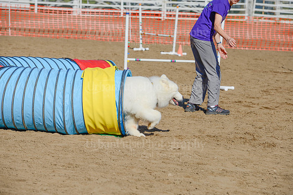 AGILITY-2197