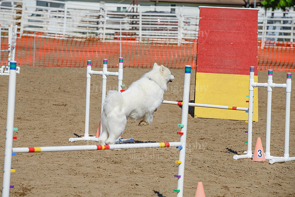 AGILITY-2275