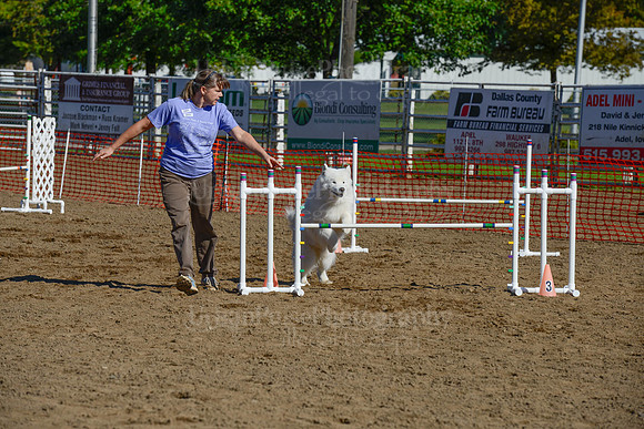 AGILITY-2111