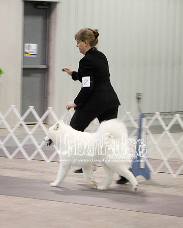 Fargo_2011-4557