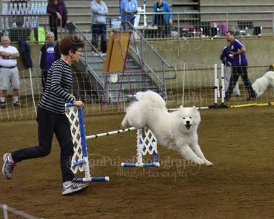 SCA2016_AG MON FAST NOVICE-0102