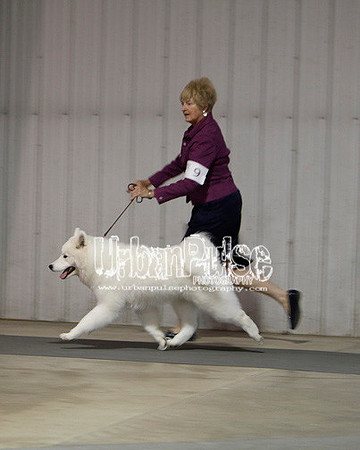 Fargo_2011-3606