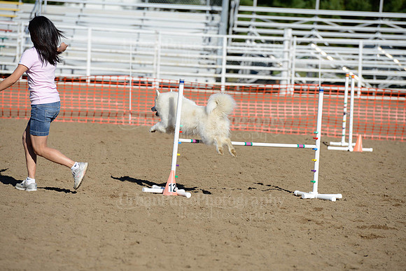 AGILITY-1858