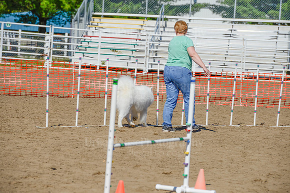 AGILITY-2349