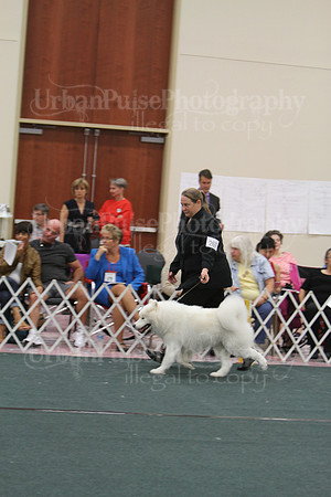 D BOB GR4-3947 2014 SCA National