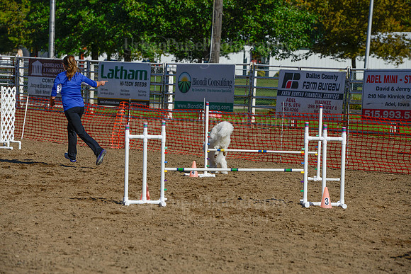 AGILITY-2128