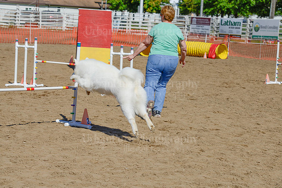 AGILITY-2336