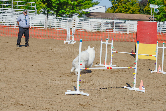 AGILITY-2337