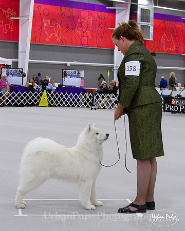 KATHY 358 SCA 2018-0256