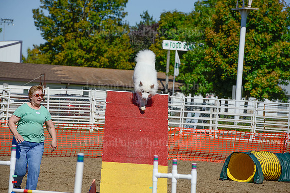 AGILITY-2354