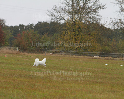 SCA2016_LURE COURSING-7770