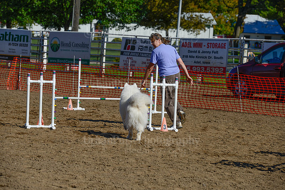 AGILITY-2100