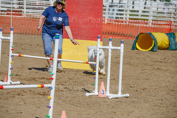 AGILITY-2392