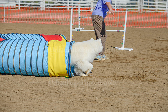 AGILITY-2115