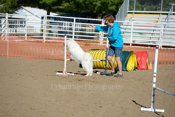 AGILITY-1881