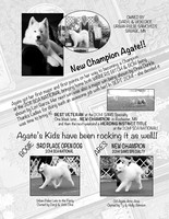 Bulletin Ad - left page Agate