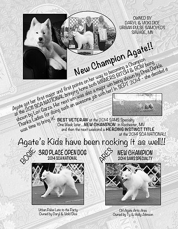 Bulletin Ad - left page Agate