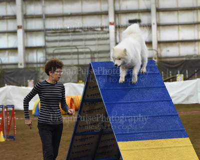 SCA2016_AG MON FAST NOVICE-0104