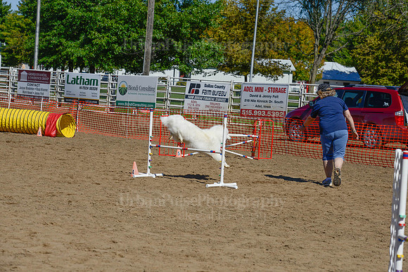 AGILITY-2388