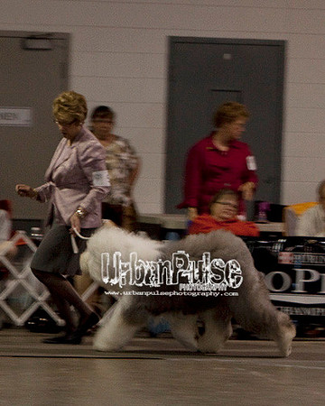 Fargo_2011-3935
