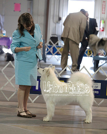 Fargo_2011-4139
