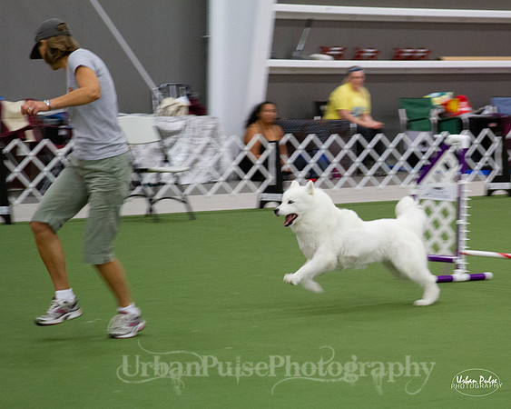 AGILITY_9463