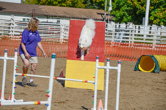 AGILITY-2306