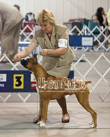 Fargo_2011-4185
