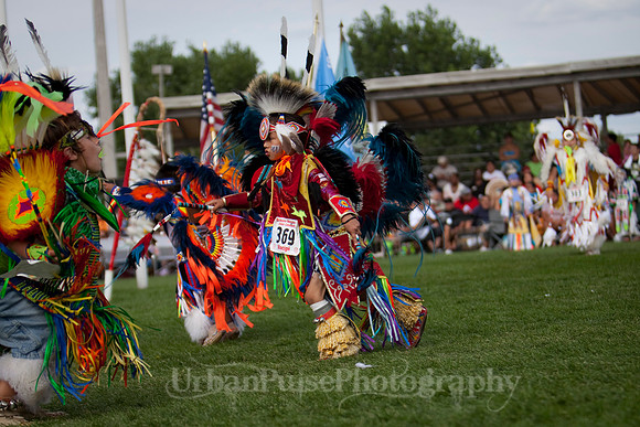 Wacipi_2011-2401