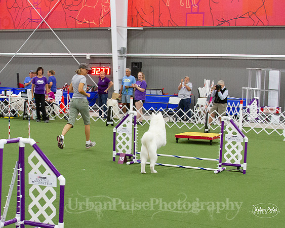 AGILITY_9467
