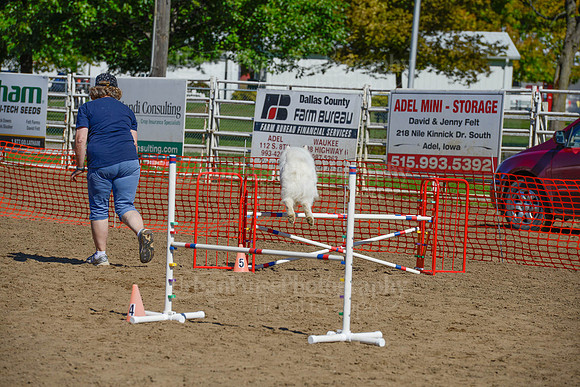 AGILITY-2277