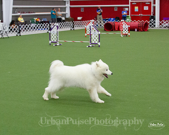 AGILITY_9515